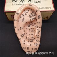 河北電熱護(hù)膝、護(hù)腰、護(hù)肩帶品牌大全與選購指南
