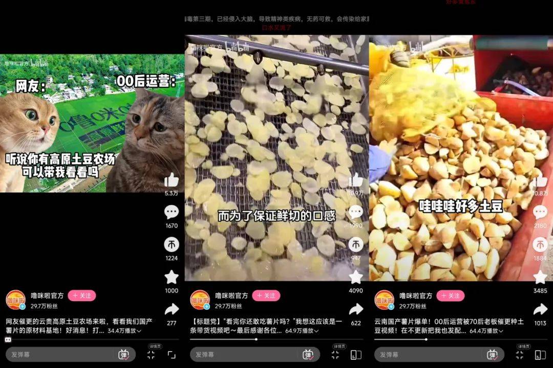 小紅書2天漲粉2萬，“貓meme”成流量密碼？薯片帶你解鎖爆款邏輯